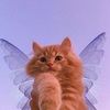 jubee412